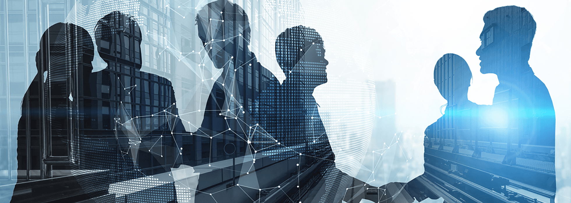 expertise meets innovation